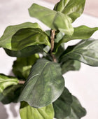 Künstlicher Ficus Lyrata - Mona | 90 cm | Kunstbaum von aplanta