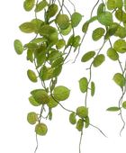 Künstliche Hänge-Ceropegia - Konrad | 40 cm auf transparentem Hintergrund, als Ausschnitt fotografiert, damit die Details der Kunstpflanze bzw. des Kunstbaums noch deutlicher zu erkennen sind.