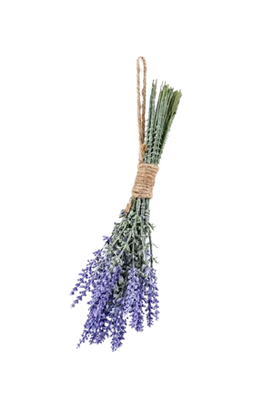 Künstlicher Lavendel Bund - Octan auf transparentem Hintergrund mit echt wirkenden Kunstblättern in natürlicher Anordnung. Künstlicher Lavendel Bund - Octan hat die Farbe Natur und ist 24 cm hoch. | aplanta Kunstpflanzen