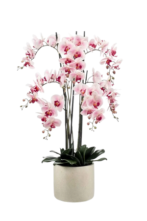 Künstliche Orchidee - Leo auf transparentem Hintergrund mit echt wirkenden Kunstblättern. Diese Kunstpflanze gehört zur Gattung/Familie der "Orchideen" bzw. "Kunst-Orchideen".