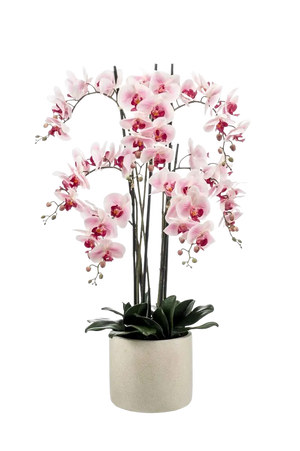 Kunstblume SmagragdLine künstliche Orchidee im Topf - verschiedene Kunstblume SmagragdLine künstliche Orchidee im Topf - verschiedene