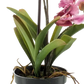 Künstliche Orchidee - Liam, 60 cm, Kunstblume von aplanta, im schwarzen Topf, in Pink, für drinnen