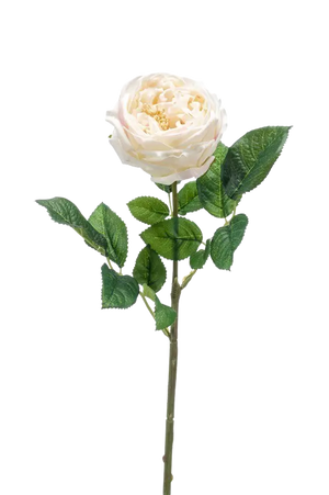 Hochwertige Hortensie künstlich auf transparentem Hintergrund mit echt wirkenden Kunstblättern in natürlicher Anordnung. Künstliche Rose - Miranda hat die Farbe Creme und ist 60 cm hoch. | aplanta Kunstpflanzen