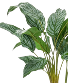 Künstlicher Kolbenfaden - Jakob | 45 cm auf transparentem Hintergrund, als Ausschnitt fotografiert, damit die Details der Kunstpflanze bzw. des Kunstbaums noch deutlicher zu erkennen sind.