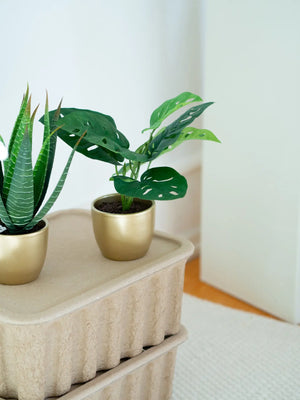 Kunst Monstera Struik - Lotte | 30 cm