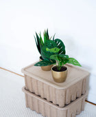 Kunst Monstera Struik - Lotte | 30 cm