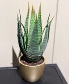 Künstliche Aloe - Patricia | 23 cm | Kunstpflanze von aplanta