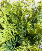 Künstlicher Farn - Gustav | 40 cm | Kunstpflanze von aplanta