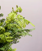 Künstlicher Farn - Marcel | 40 cm | Kunstpflanze von aplanta