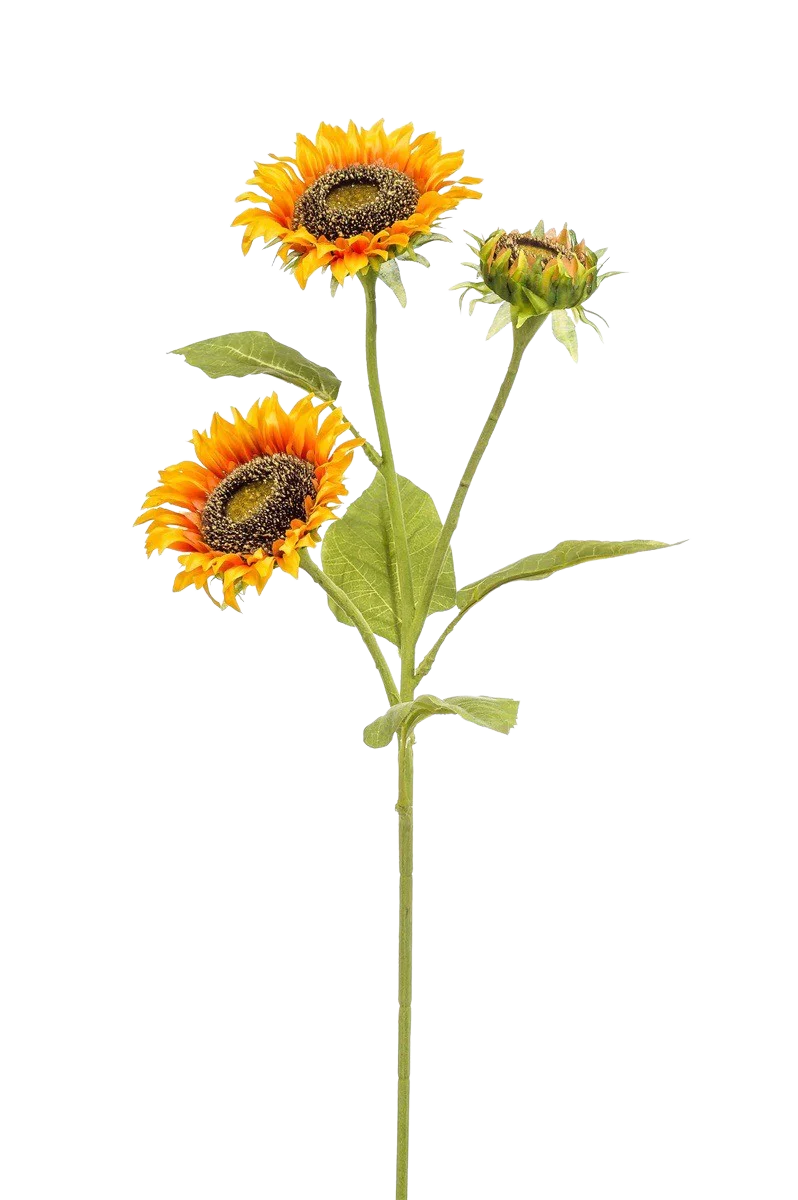 Hochwertige Kunstpflanze | Künstliche Sonnenblume - Belly | 85 cm von 🌱aplanta