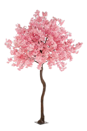 Künstlicher Kirschbaum - Elia auf transparentem Hintergrund mit echt wirkenden Kunstblättern in natürlicher Anordnung. Künstlicher Kirschbaum - Elia hat die Farbe Pink und ist 270 cm hoch. | aplanta Kunstpflanzen