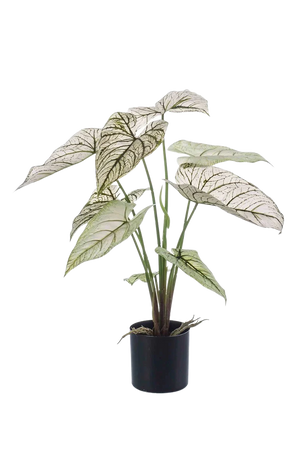 Hochwertige Kunstpflanze | Künstliche Kaladie - Chrissi | 60 cm von 🌱aplanta