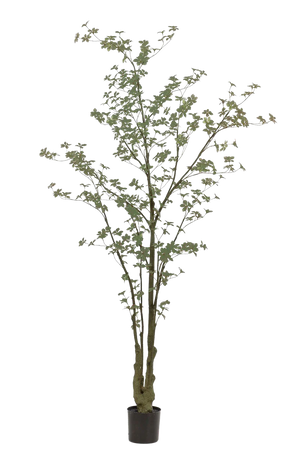 Hochwertige Kunstpflanze | Künstlicher Trapaeolum Baum - Ornellia | 245 cm von 🌱aplanta