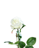 Kunstroos - Alexandros | 66 cm