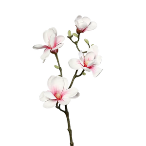 Künstliche Magnolien Zweig - Lea auf transparentem Hintergrund mit echt wirkenden Kunstblättern in natürlicher Anordnung. Künstliche Magnolien Zweig - Lea hat die Farbe weiß-rosa und ist 80 cm hoch. | aplanta Kunstpflanzen
