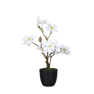 Hochwertige Kunstblumen | Künstliche Magnolie - Elia | 45 cm von 🌱aplanta