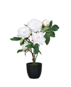 Künstliche Pfingstrose - Finja auf transparentem Hintergrund mit echt wirkenden Kunstblättern in natürlicher Anordnung. Künstliche Pfingstrose - Finja hat die Farbe cream und ist 45 cm hoch. | aplanta Kunstpflanzen