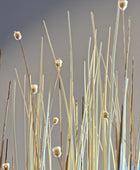 Kunst Isolepsis Arrangement - Emilie | 60 cm