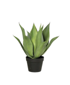 Künstliche Agave - Andi auf transparentem Hintergrund mit echt wirkenden Kunstblättern in natürlicher Anordnung. Künstliche Agave - Andi hat die Farbe Natur und ist 48 cm hoch. | aplanta Kunstpflanzen