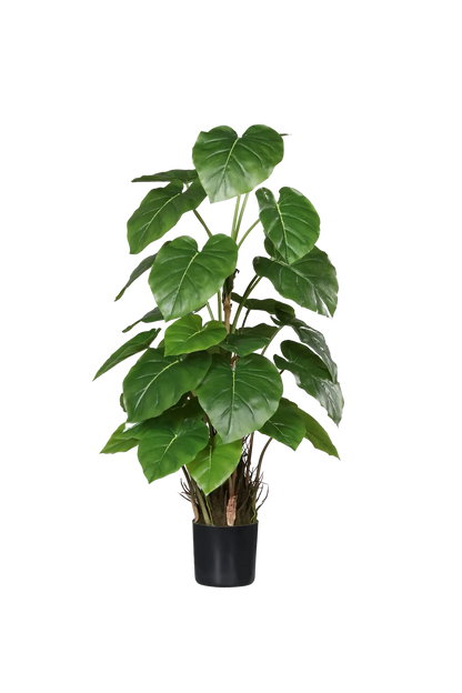 Künstliche Philodendron - Phoebe, 80 cm, Kunstpflanze von aplanta, im schwarzen Topf, in Natur, für drinnen