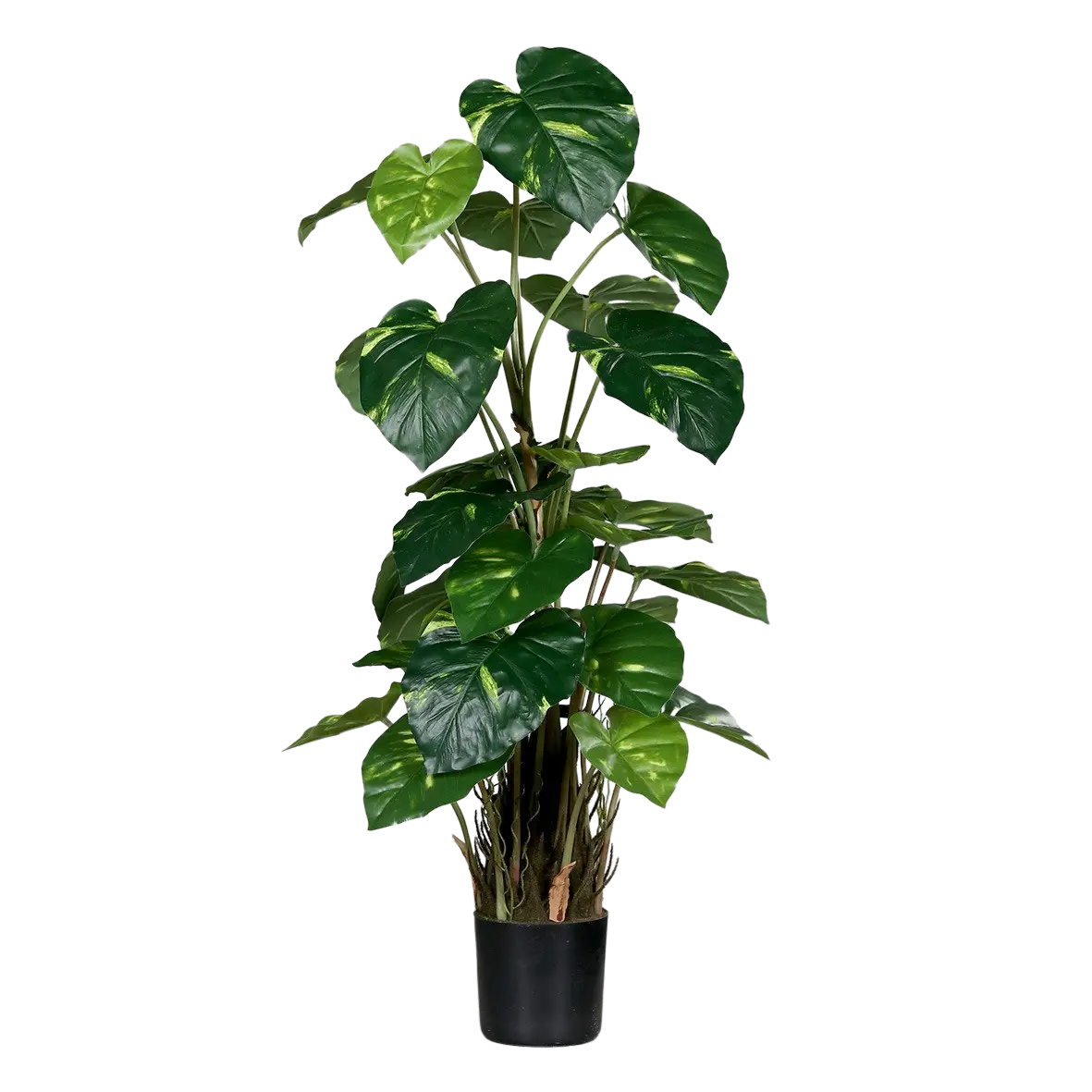 Künstliche Pothos - Jacobo, 82 cm, Kunstpflanze von aplanta, im schwarzen Topf, in Natur, für drinnen
