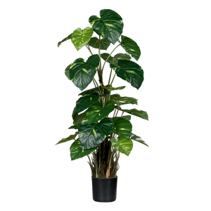 Künstliche Pothos - Jacobo, 82 cm, Kunstpflanze von aplanta, im schwarzen Topf, in Natur, für drinnen