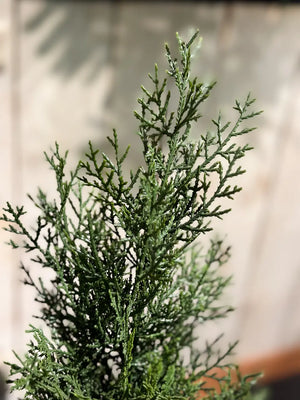 Künstliche Grüne Zeder - UV-beständig - Nathalie | 180 cm | Kunstpflanze von aplanta