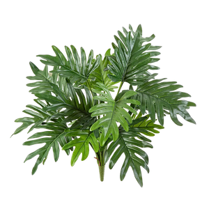 Kunst Philodendre - Selin | 50 cm