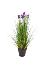 Künstlicher Lavendel - Emilie auf transparentem Hintergrund mit echt wirkenden Kunstblättern in natürlicher Anordnung. Künstlicher Lavendel - Emilie hat die Farbe Natur und ist 60 cm hoch. | aplanta Kunstpflanzen