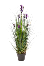 Künstlicher Lavendel - Emilie auf transparentem Hintergrund mit echt wirkenden Kunstblättern in natürlicher Anordnung. Künstlicher Lavendel - Emilie hat die Farbe Natur und ist 90 cm hoch. | aplanta Kunstpflanzen