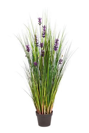 Künstlicher Lavendel - Emilie auf transparentem Hintergrund mit echt wirkenden Kunstblättern in natürlicher Anordnung. Künstlicher Lavendel - Emilie hat die Farbe Natur und ist 120 cm hoch. | aplanta Kunstpflanzen