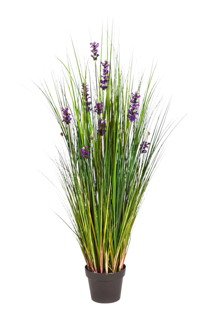 Künstlicher Lavendel - Emilie auf transparentem Hintergrund mit echt wirkenden Kunstblättern in natürlicher Anordnung. Künstlicher Lavendel - Emilie hat die Farbe Natur und ist 120 cm hoch. | aplanta Kunstpflanzen