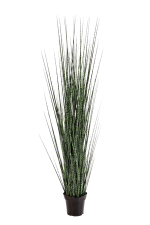 Kunstgras - Zebra | 120 cm