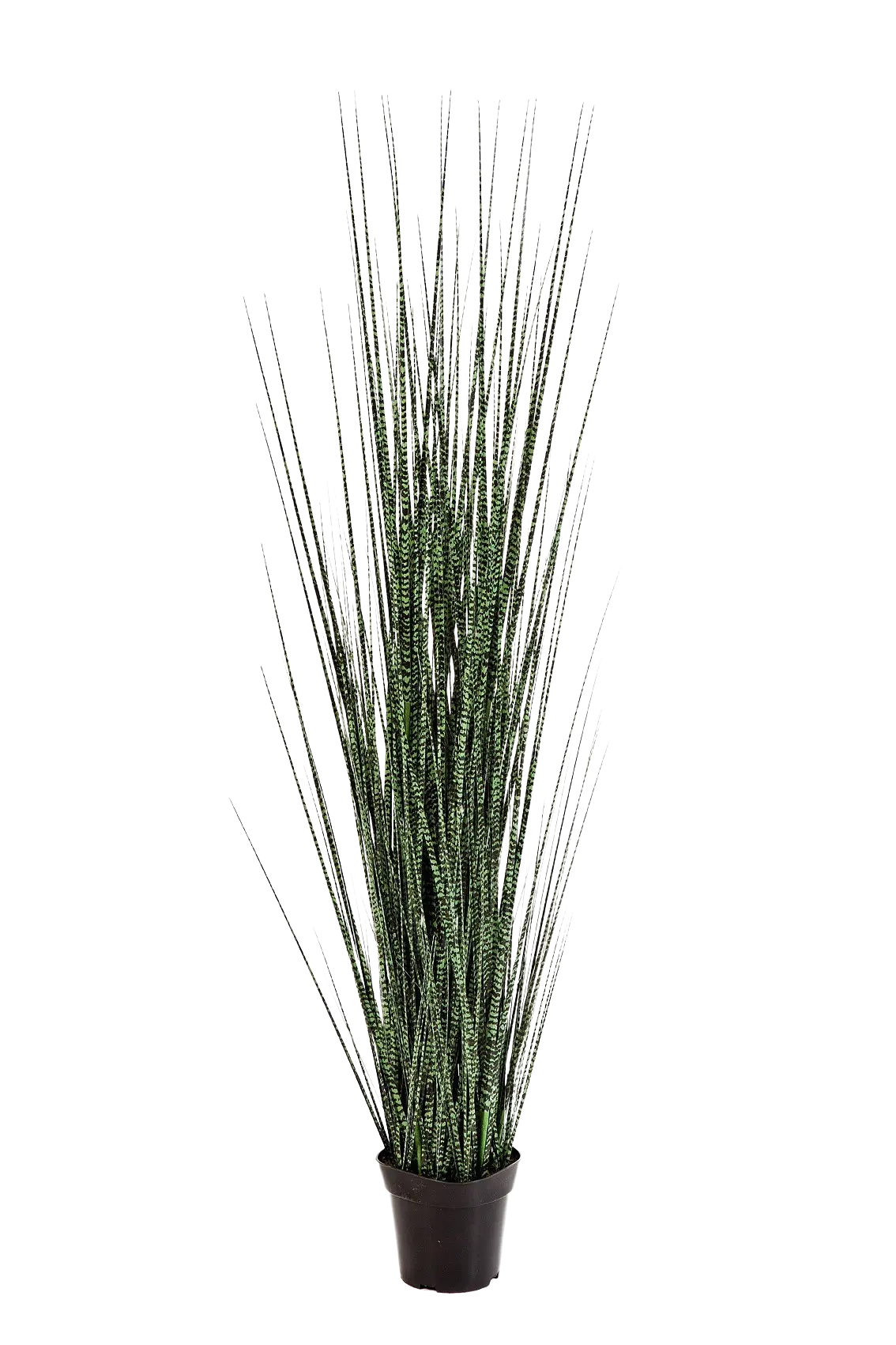 Kunstgras - Zebra | 120 cm