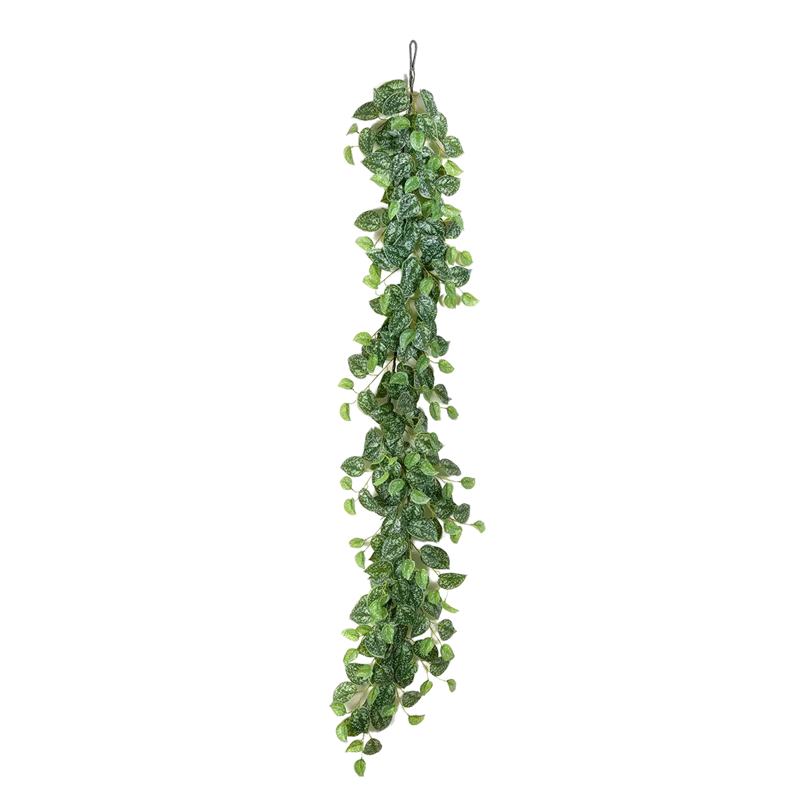 Hochwertige künstliche Hängepflanze auf transparentem Hintergrund mit echt wirkenden Kunstblättern in natürlicher Anordnung. Künstliche Scindapsus Girlande - Bianca hat die Farbe Natur und ist 180 cm hoch. | aplanta Kunstpflanzen