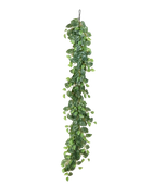 Hochwertige künstliche Hängepflanze auf transparentem Hintergrund mit echt wirkenden Kunstblättern in natürlicher Anordnung. Künstliche Scindapsus Girlande - Bianca hat die Farbe Natur und ist 180 cm hoch. | aplanta Kunstpflanzen