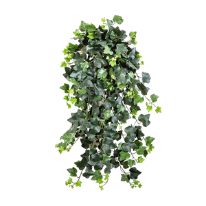 Hochwertige künstliche Hängepflanze auf transparentem Hintergrund mit echt wirkenden Kunstblättern in natürlicher Anordnung. Künstlicher Efeu - Emily hat die Farbe Natur und ist 75 cm hoch. | aplanta Kunstpflanzen