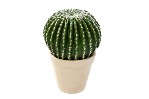 Künstlicher Kaktus - Hans auf transparentem Hintergrund mit echt wirkenden Kunstblättern. Diese Kunstpflanze gehört zur Gattung/Familie der "Kakteen" bzw. "Kunst-Kakteen".