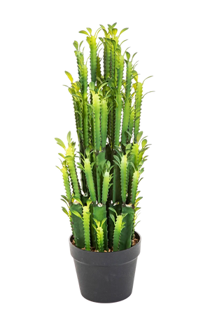 Künstlicher Kaktus - Hermann auf transparentem Hintergrund mit echt wirkenden Kunstblättern. Diese Kunstpflanze gehört zur Gattung/Familie der "Kakteen" bzw. "Kunst-Kakteen".