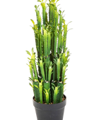 Künstlicher Kaktus - Hermann auf transparentem Hintergrund mit echt wirkenden Kunstblättern. Diese Kunstpflanze gehört zur Gattung/Familie der 