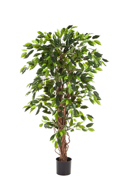Künstlicher Ficus - Issa, 120 cm, Kunstbaum von aplanta, in Natur, für drinnen
