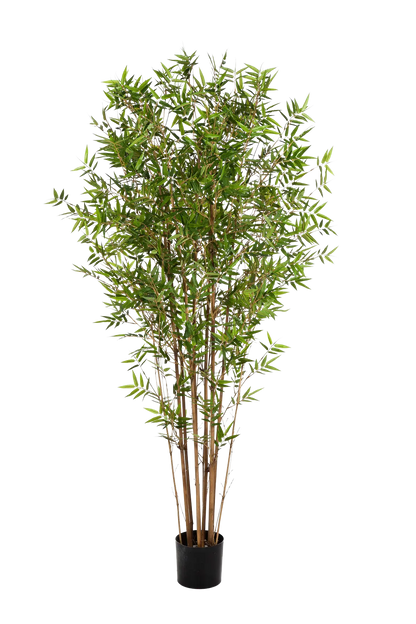 Künstlicher Bambus - Lucas auf transparentem Hintergrund mit echt wirkenden Kunstblättern. Diese Kunstpflanze gehört zur Gattung/Familie der "Bambuse" bzw. "Kunst-Bambuse".