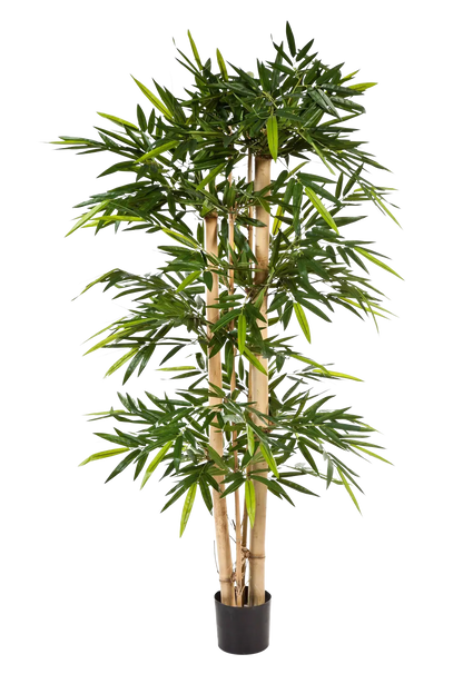 Künstlicher Bambus - Martha, 180 cm, Kunstbaum von aplanta, mit Echtholzstamm, in Natur, für drinnen