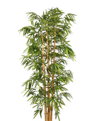 Künstlicher Bambus - Marlon auf transparentem Hintergrund mit echt wirkenden Kunstblättern. Diese Kunstpflanze gehört zur Gattung/Familie der 