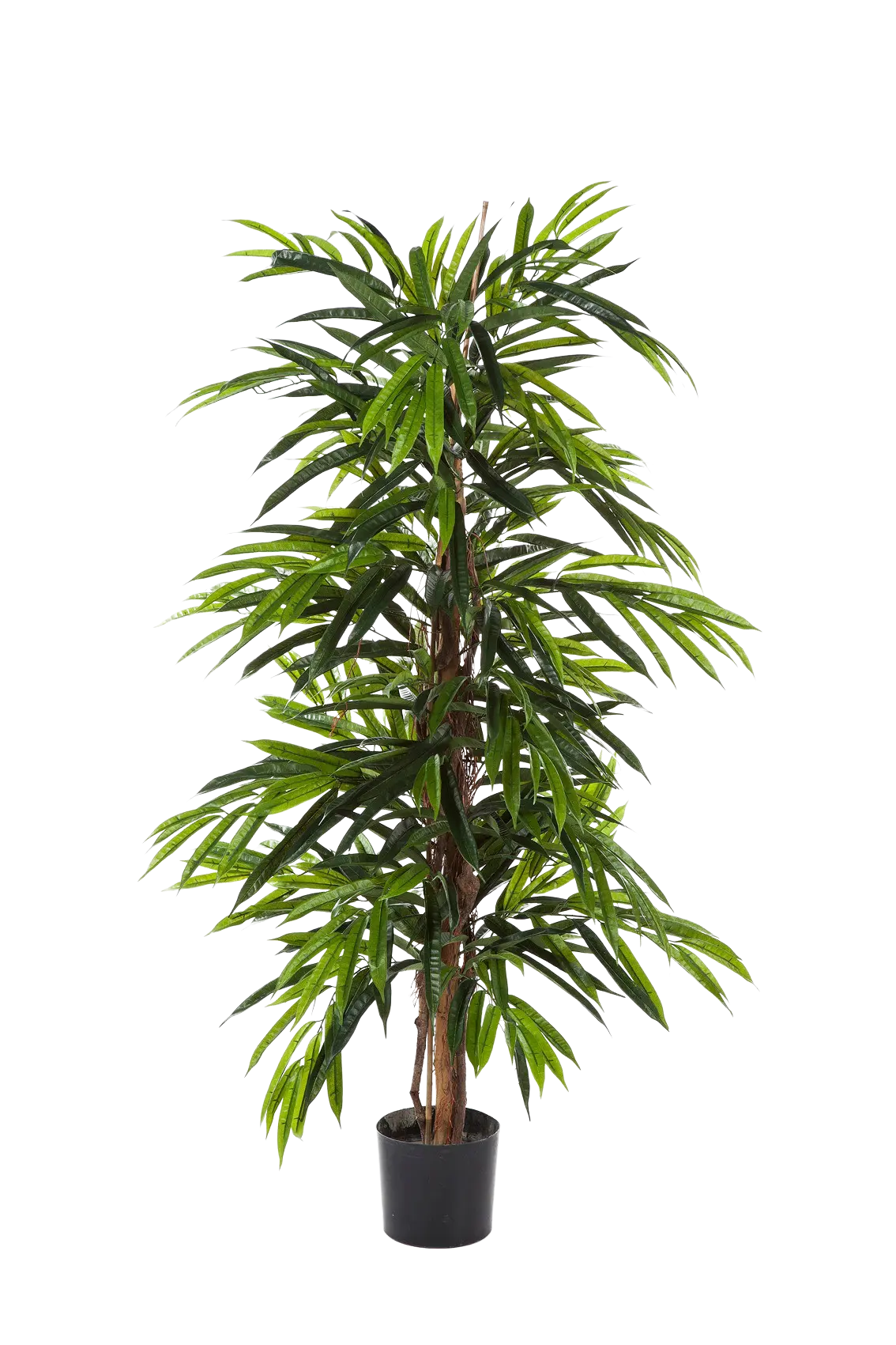 Kunst Longifolia - Maurice | 210 cm