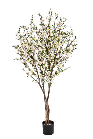 Künstlicher Kirschbaum - Willi auf transparentem Hintergrund mit echt wirkenden Kunstblättern. Diese Kunstpflanze gehört zur Gattung/Familie der "Kirschbäume" bzw. "Kunst-Kirschbäume".