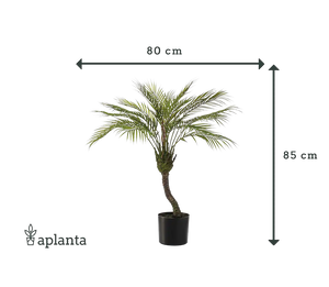 Kunst bergpalm - Nelly | 85 cm