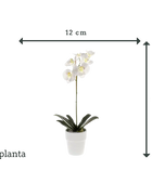 Kunst Orchidee - Linus | 55 cm