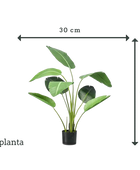 Kunst Strelitzia - Carl | 120 cm