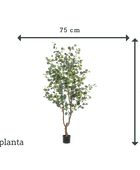 Kunst Eucalyptusboom - Christoffel | 180 cm